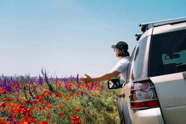 Person in a car by colorful meadow in spring.